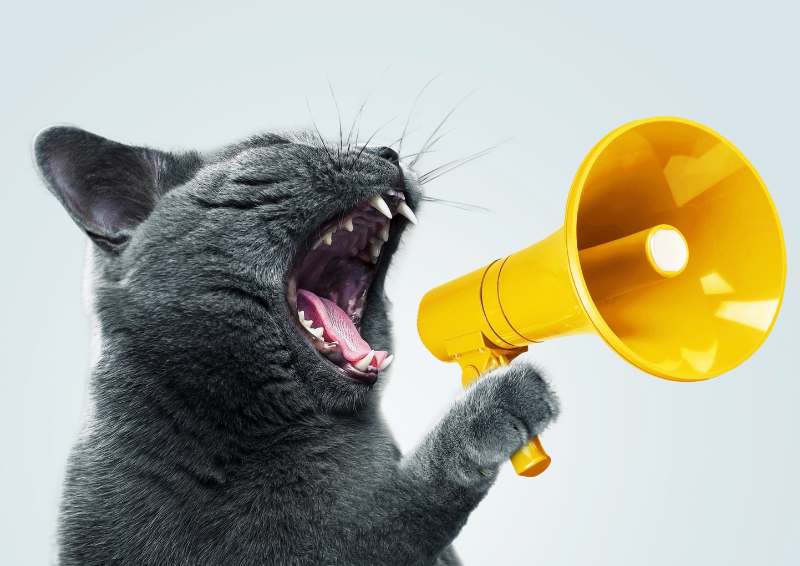 Hone your communication skills