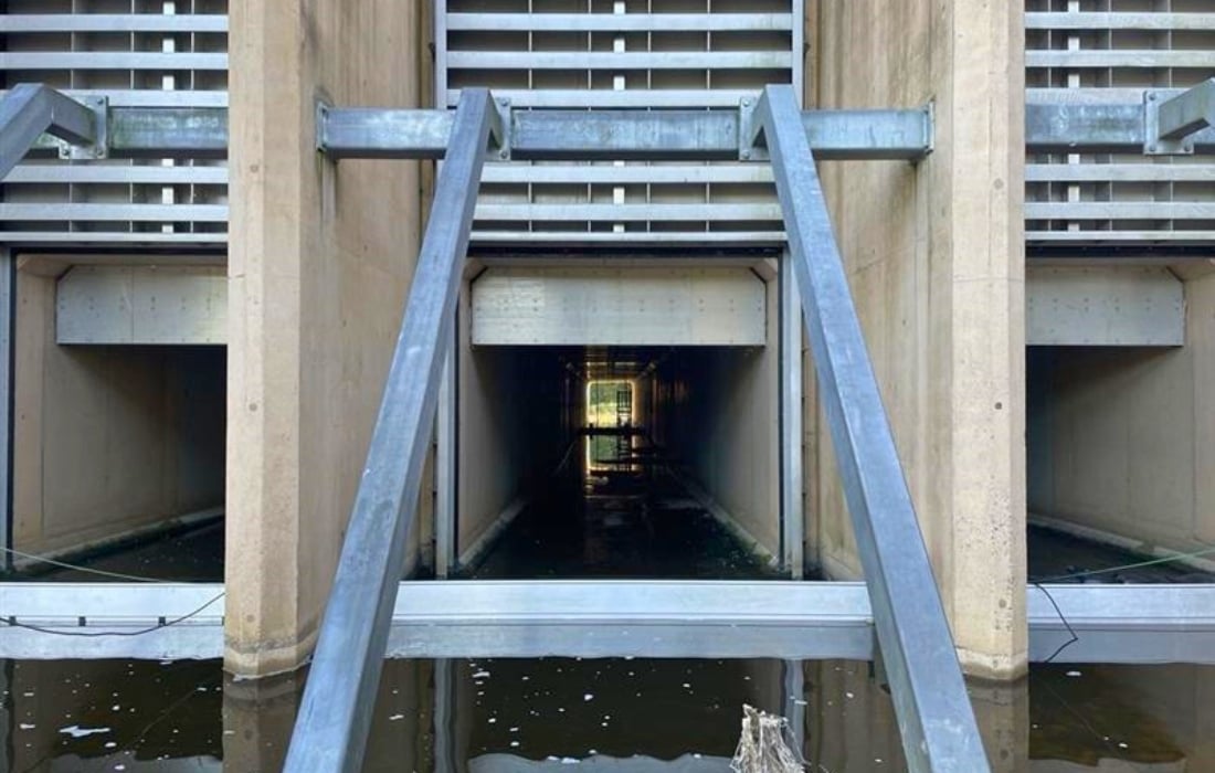 coffer dams