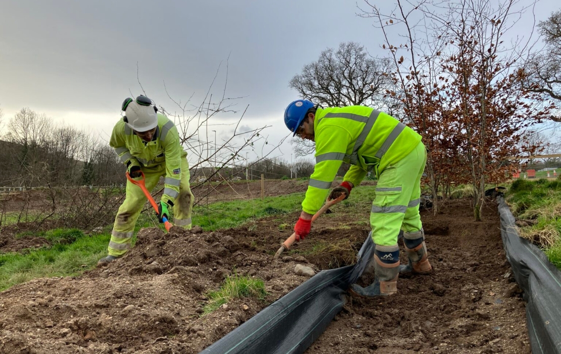 A382 Carbon Negative Project