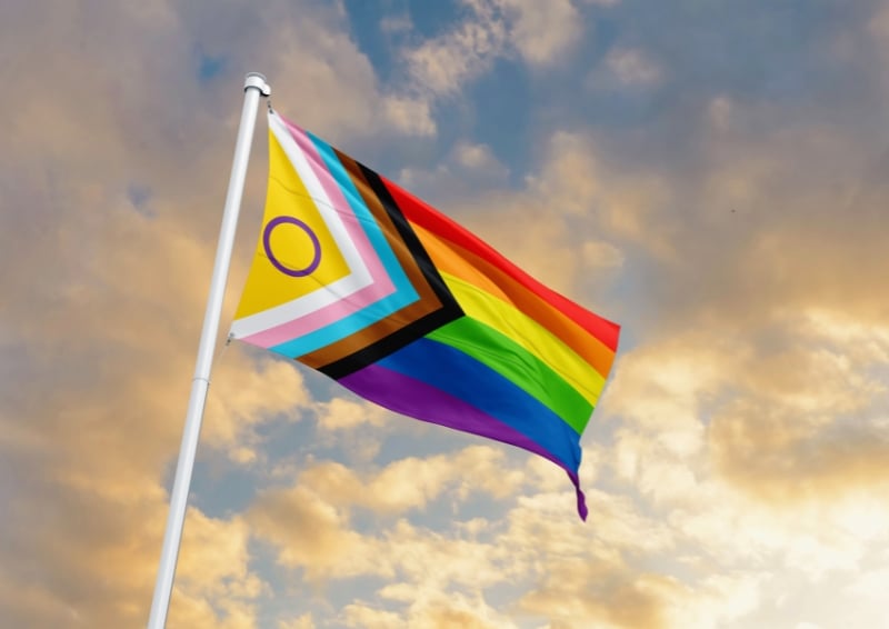 Rainbow revolution: the story behind the Pride flag