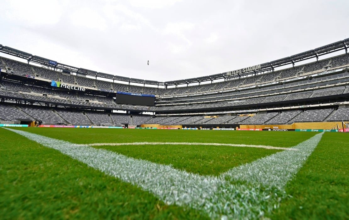 metlife pitch