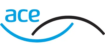 Association for Consultancy (ACE Group)