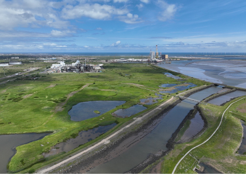 Tees Tidelands: Engineering a Resilient Estuary in an Industrial Landscape