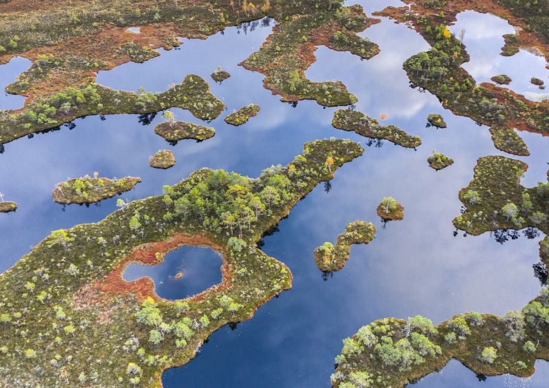 The barriers we need to overcome to build in harmony with nature