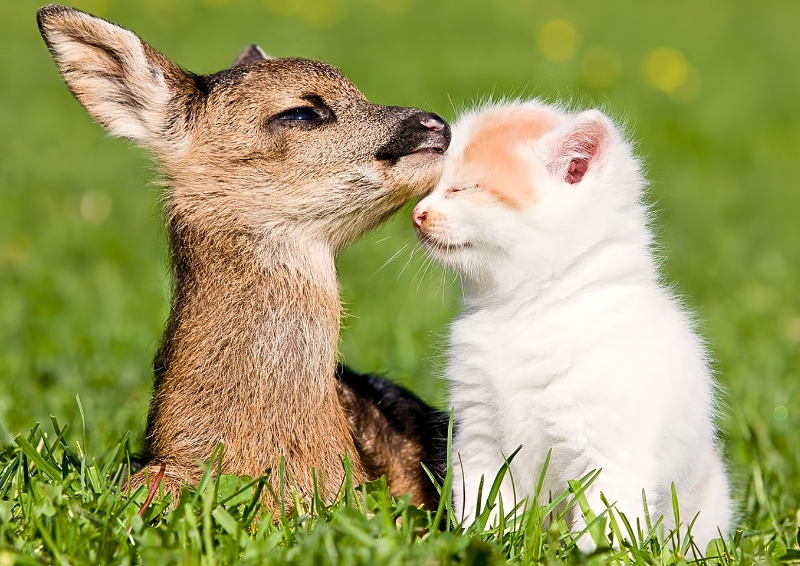 Building meaningful relationships