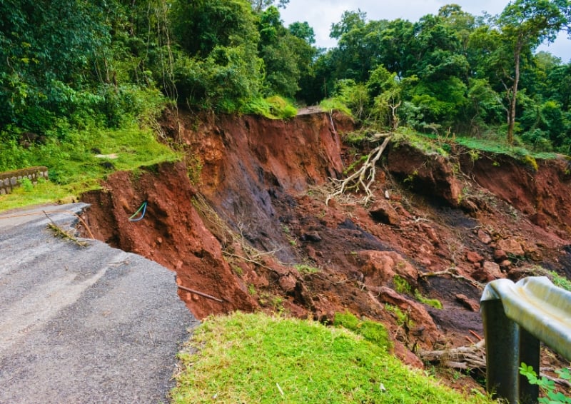 A landslide has caused part of a hillside to collapse beside a paved road, exposing red soil and tree roots, with dense green forest above and a damaged roadside edge in the foreground.