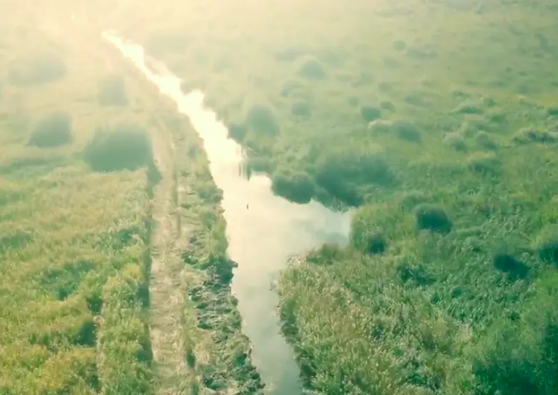 Crymlyn Bog Restoration of Hydrological Balance