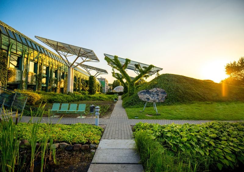 Roof gardens can combine landscaped and engineered SuDS. Image credit: Shutterstock