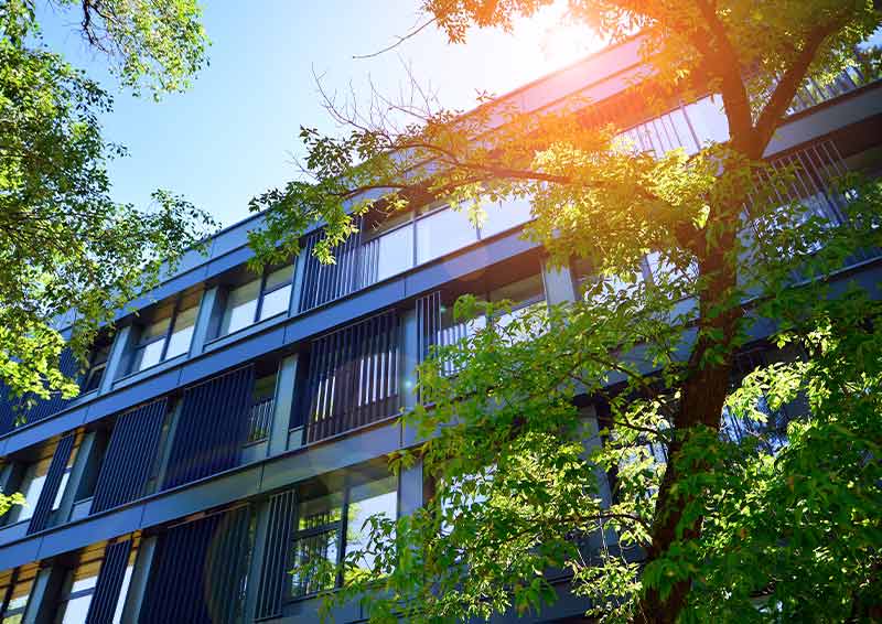 Biotechnology: The key to zero energy buildings