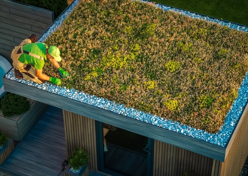 Green roofs can help lower temperatures in urban settings. Image credit: Shutterstock