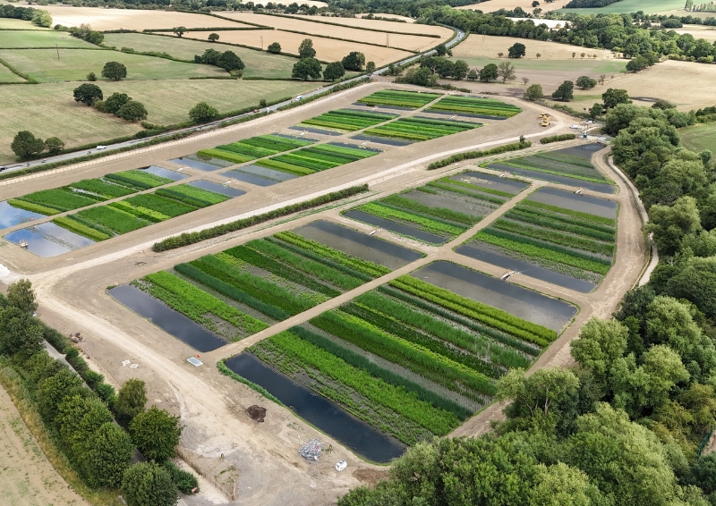 An aerial view of a large constructed wetland divided into long, rectangular ponds separated by earth walkways. Surrounding the site are fields, hedgerows, and clusters of trees, creating a patchwork rural landscape.