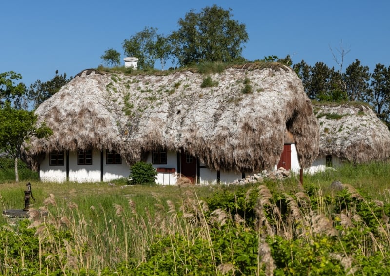 Traditional Læsø house with a seaweed roof. Image credit: Shutterstock