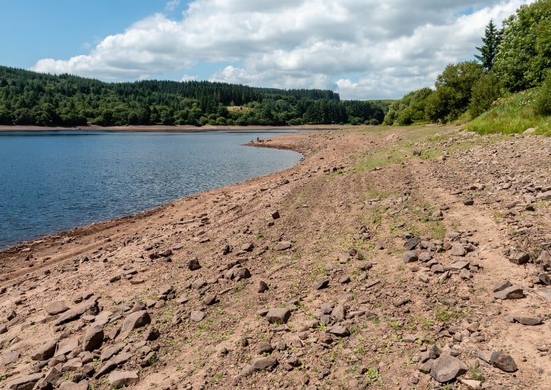 Why are we getting more heatwaves and how can we prepare?