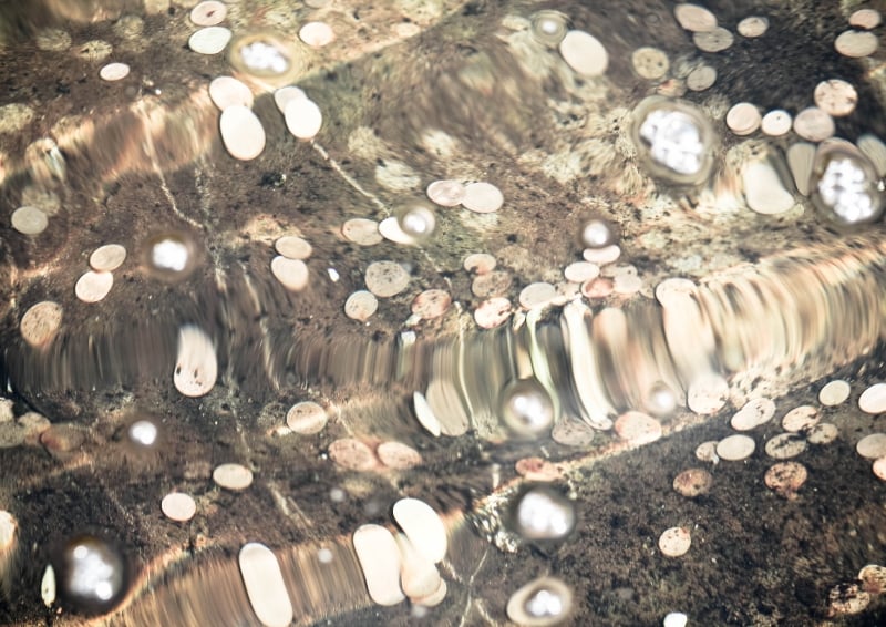 Legend says a ghost returns coins tossed over the Clinton Road Bridge in New Jersey, USA. Image credit: Shutterstock