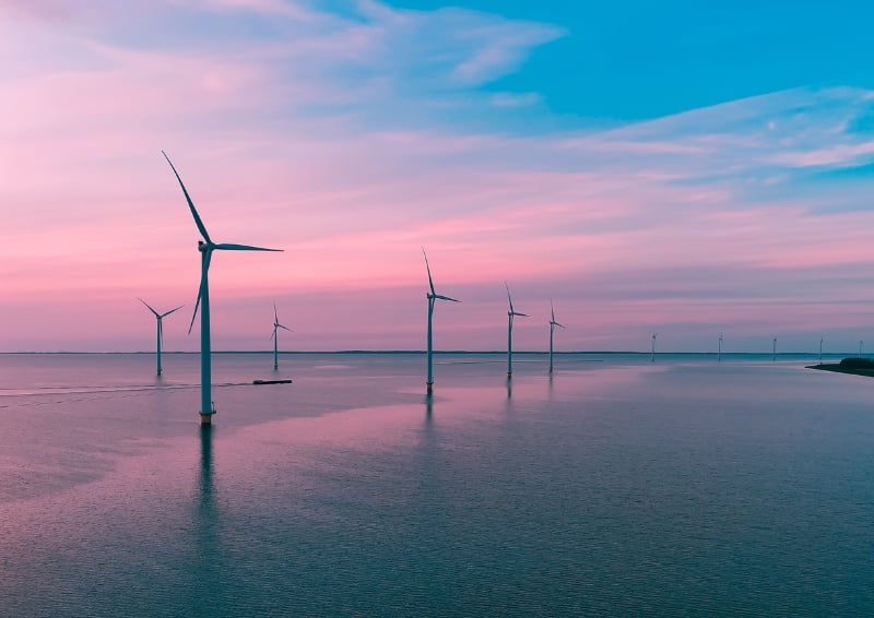 A wind farm off the coast of the Netherlands. Image credit: Shutterstock