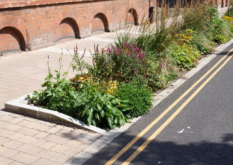 9 types of nature-based solutions to consider for your next project